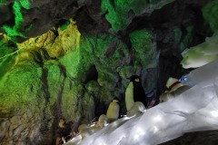 Natale-in-Grotta-Rescia-2021-2022-8
