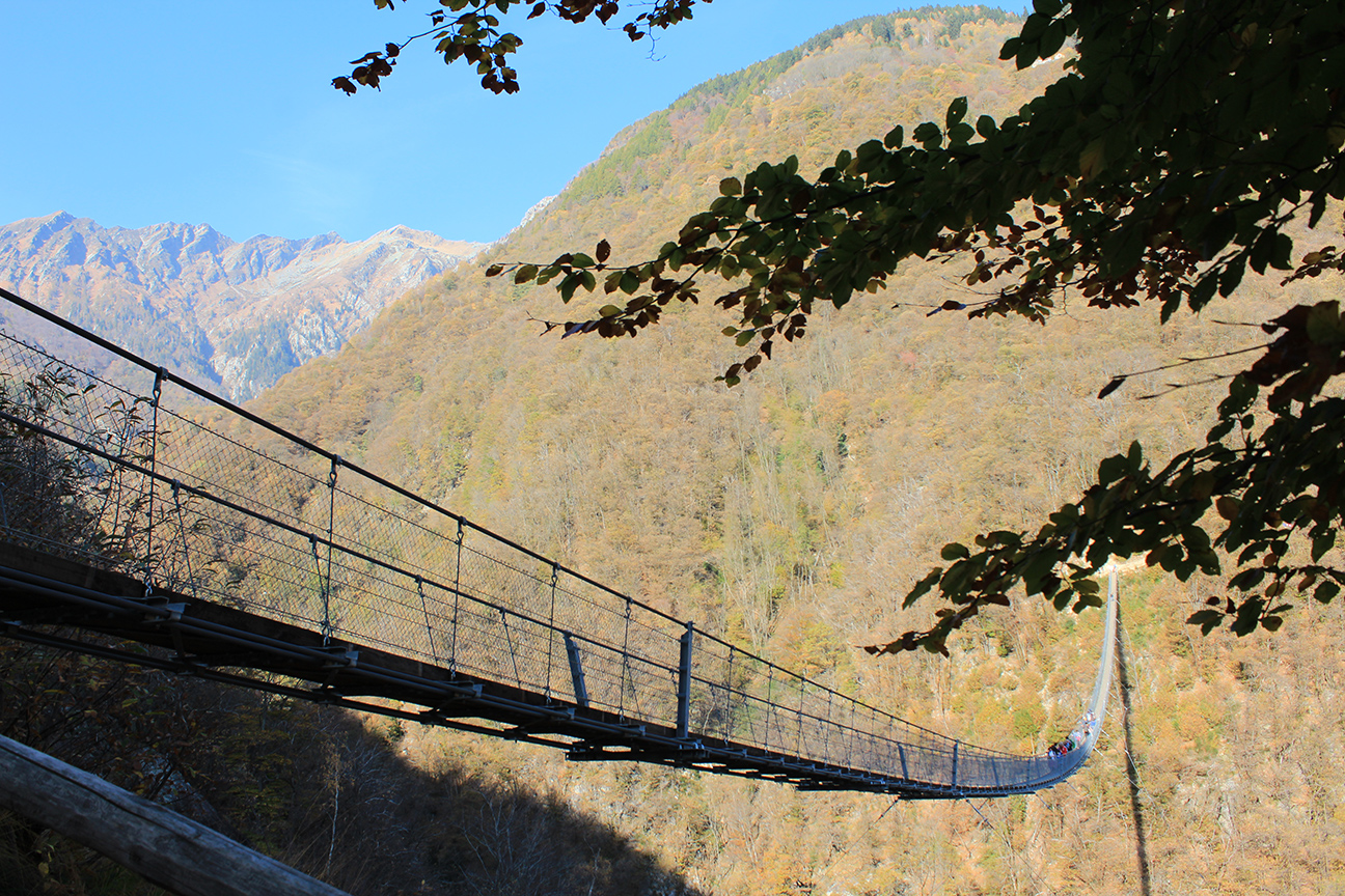 “Percorsi Fotografici”: il Ponte Tibetano Carasc