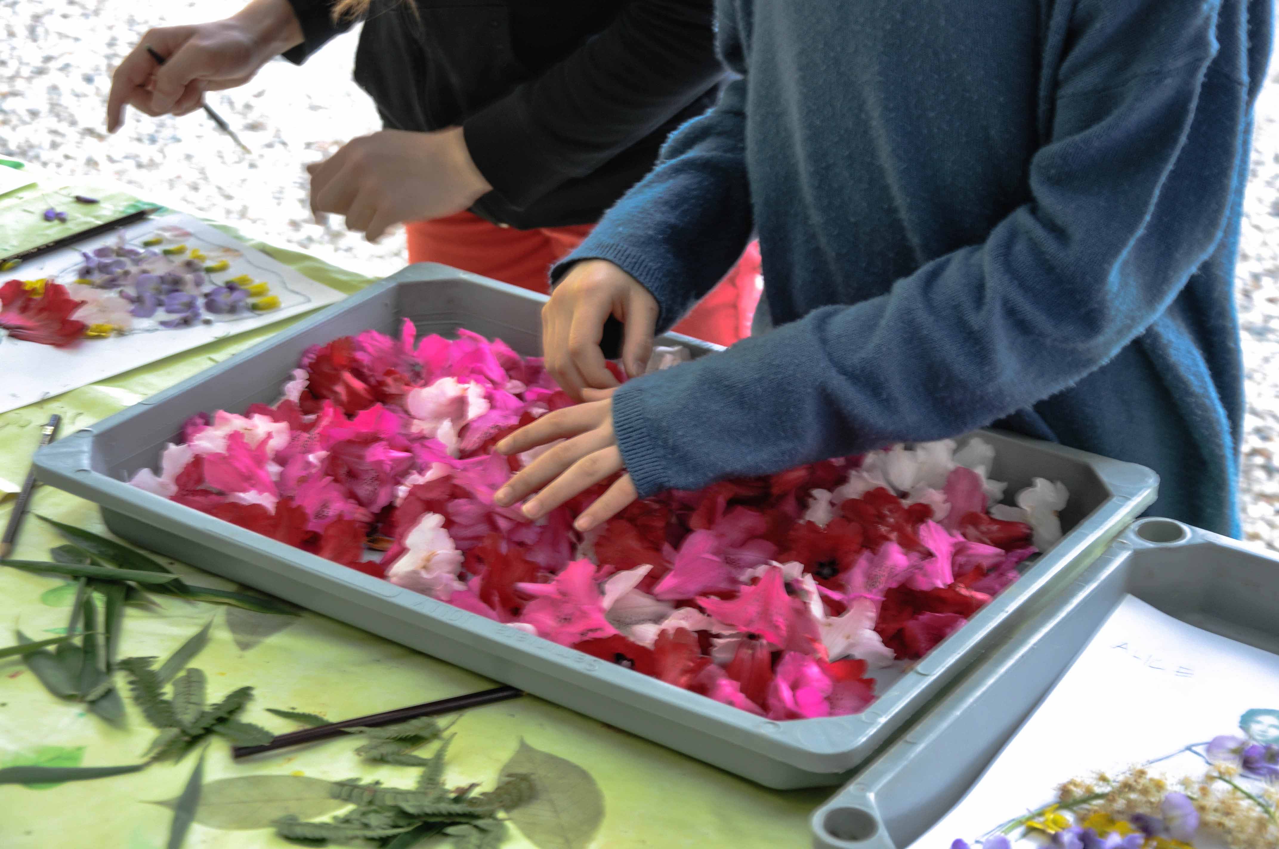 Domenica Laboratorio per Famiglie a Villa Carlotta