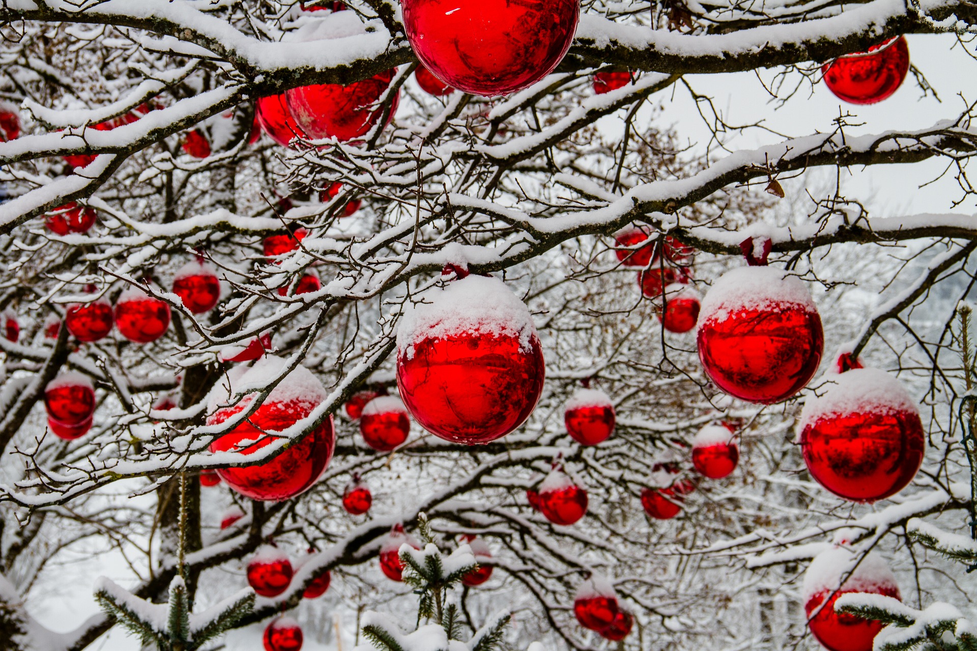 Natale Dizzasco Muronico: gli eventi