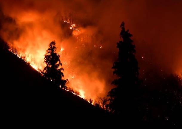 Incendio Martica: insieme per rinascere dal fuoco