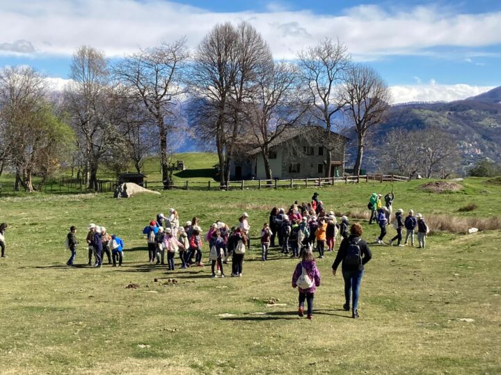 Puliamo con RIPARTYAMO in Valle Intelvi