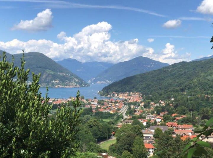 Besano tra mare e lago alla scoperta dei fossili