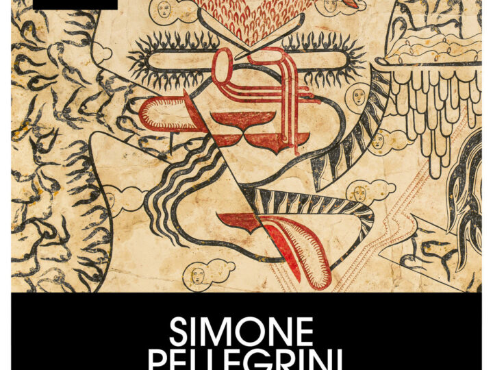 Simone Pellegrini in mostra al MUSEC di Lugano